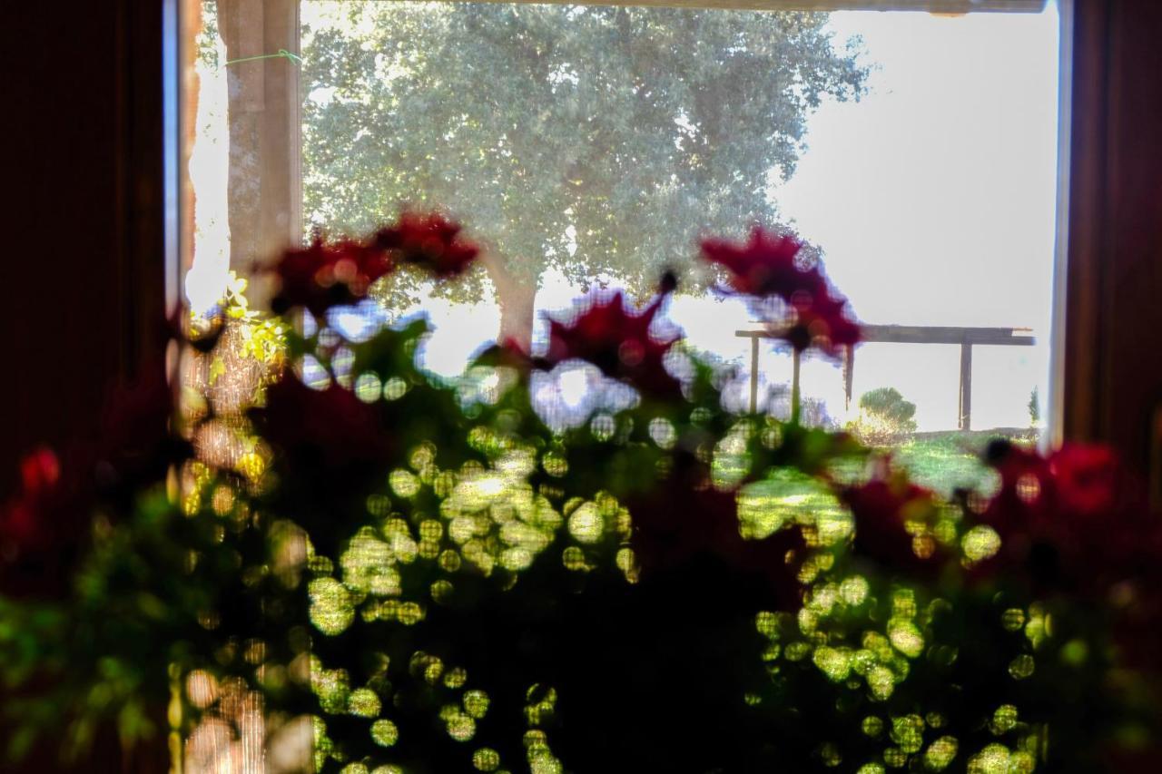 Agriturismo Poggio Monte Saturnia Exterior foto